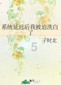 新泡泡大作战