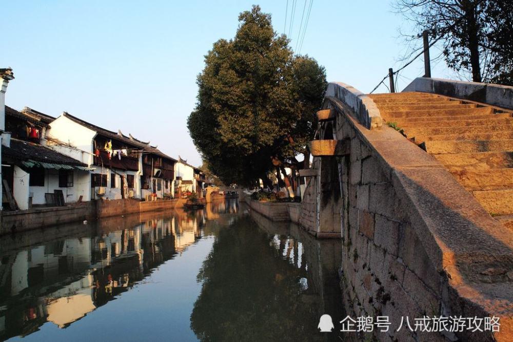 大山羔羊逃生