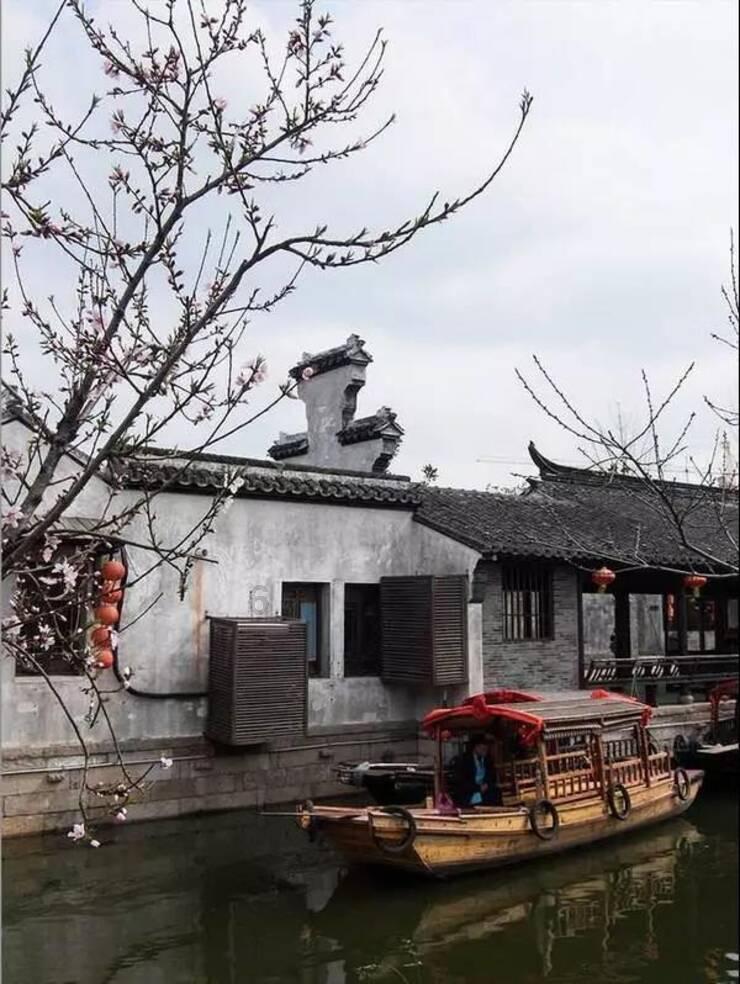 小红帽的冒险之旅