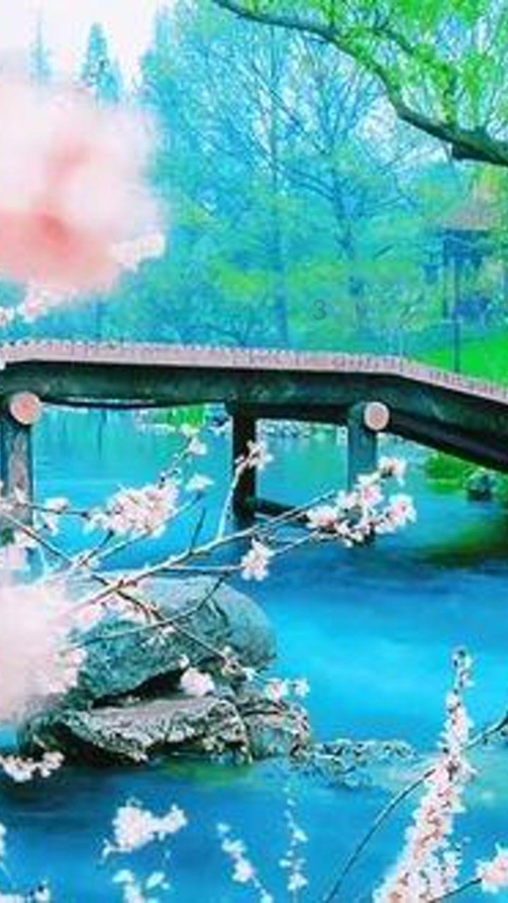 周杰伦《反方向的钟》的歌词是什么？
