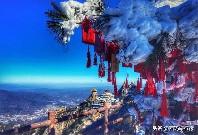 拜耳集团股价暴跌 因Roundup除草剂诉讼亏损22.5亿美元